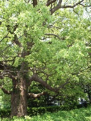 学内の風景