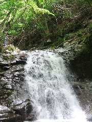 回顧の吊橋付近の展望台から見た回顧（みかえりの）滝