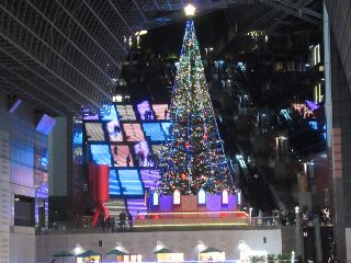 京都駅のツリー