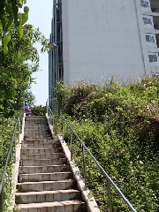 学内の風景